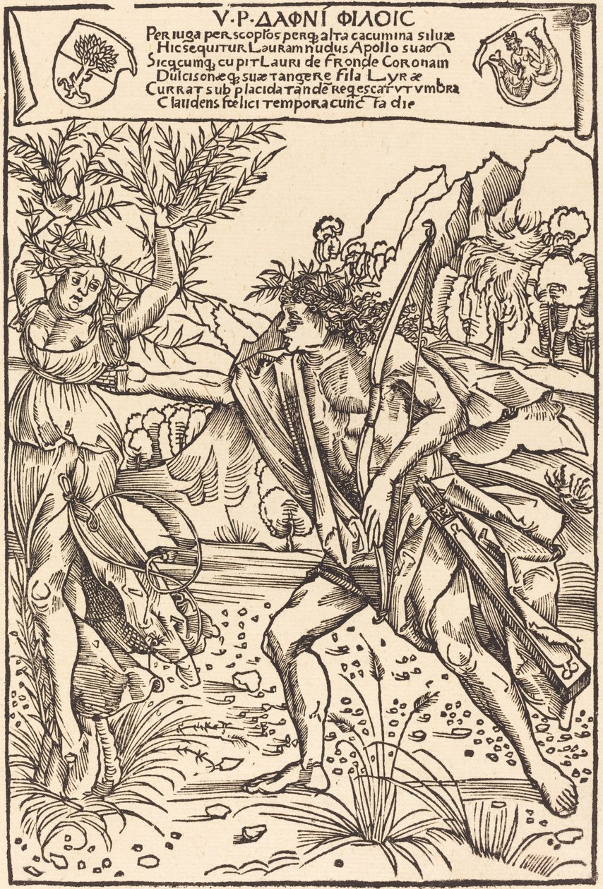 Apolo y Dafne de Hans Süss von Kulmbach