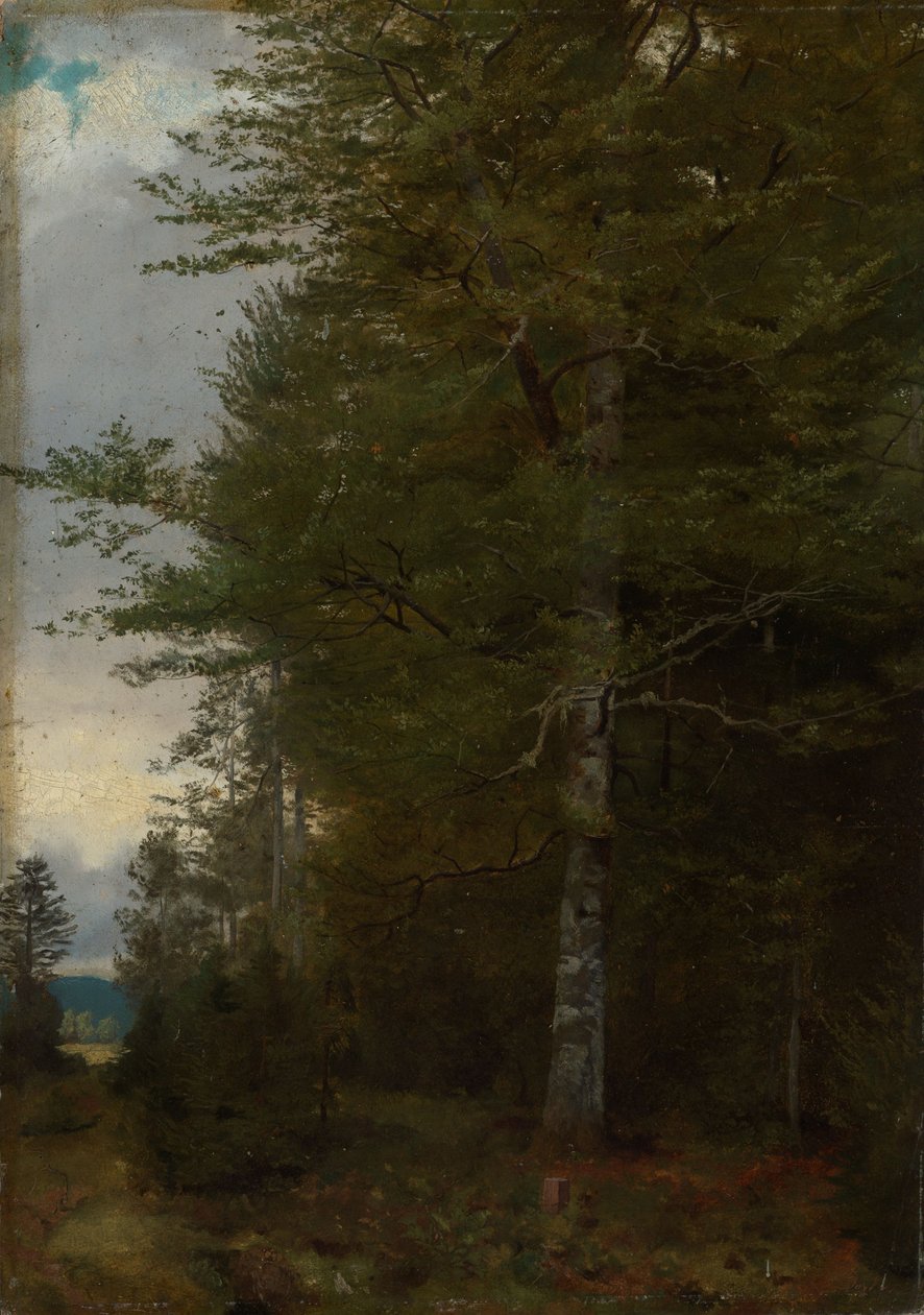 Haya en el borde del bosque de Hans Thoma