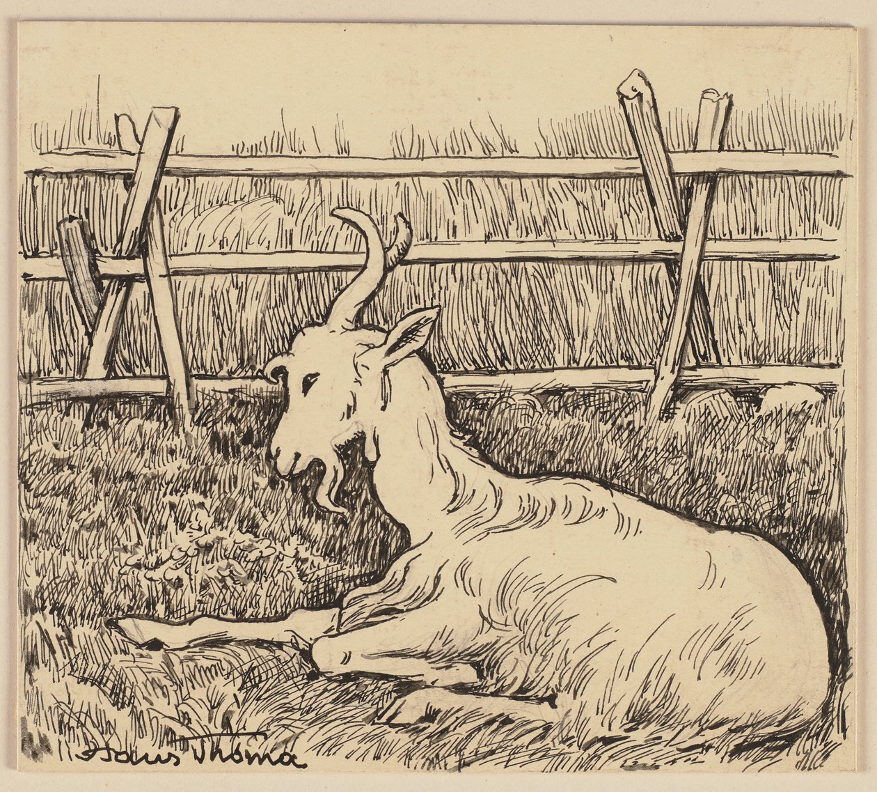 Dibujo para la cartilla: Cabra de Hans Thoma