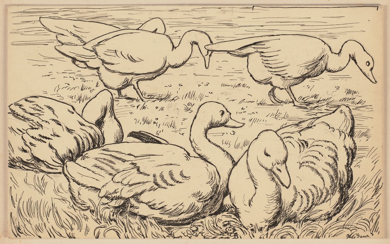 Ilustración para el libro de texto: El ganso de Hans Thoma