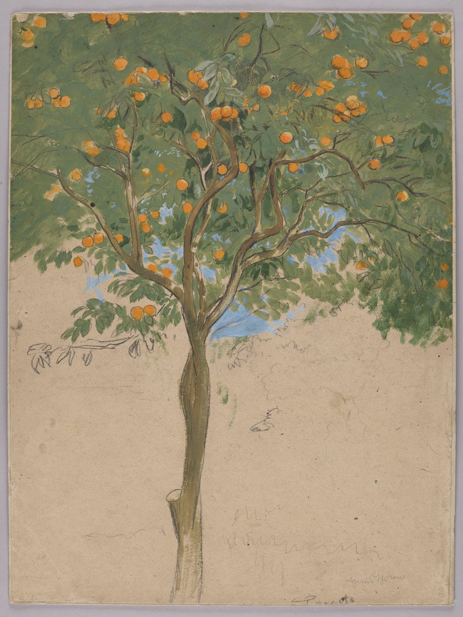El naranjo de Hans Thoma