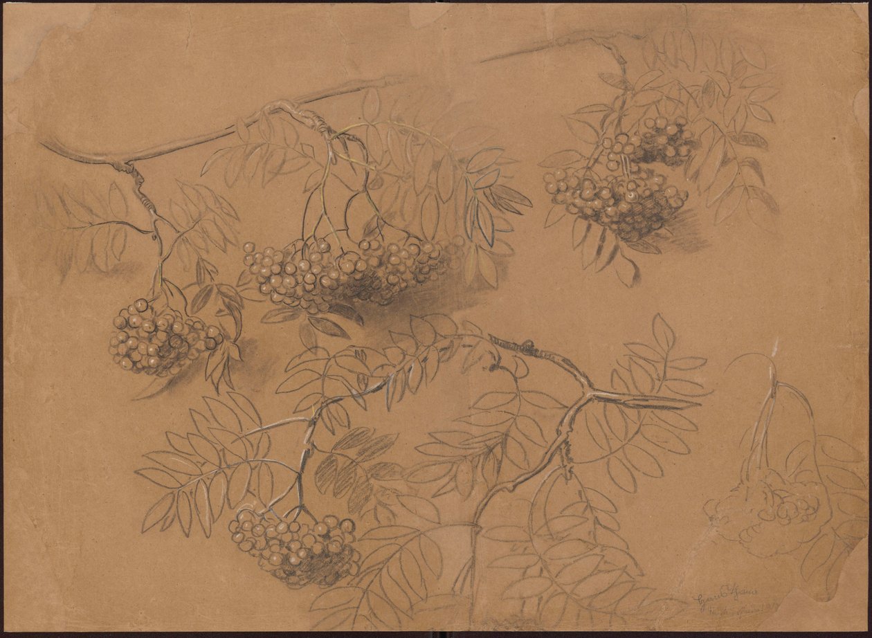 Ramas de serbal de Hans Thoma