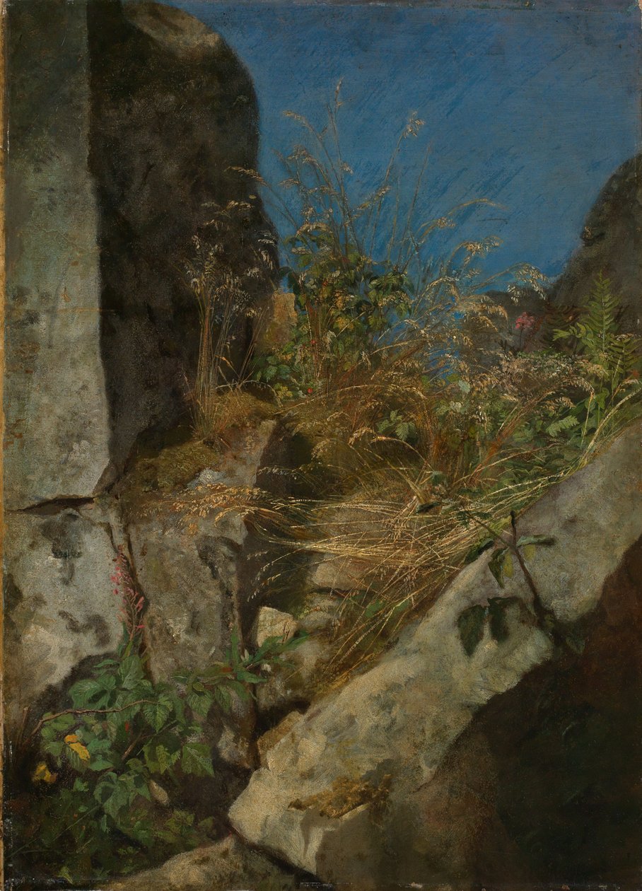 Hierbas entre las rocas de Hans Thoma