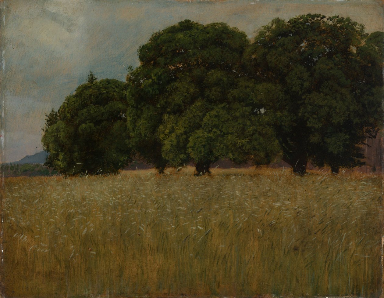Campo de cereales con árboles de hoja caduca de Hans Thoma