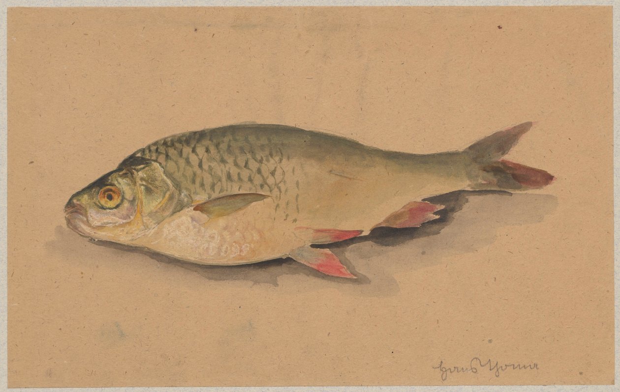 Pescado de Hans Thoma