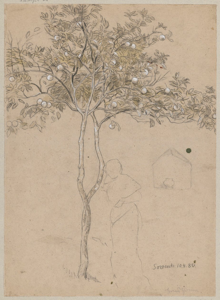Estudio de un naranjo de los alrededores de Sorrento. Contorno de una figura femenina de Hans Thoma