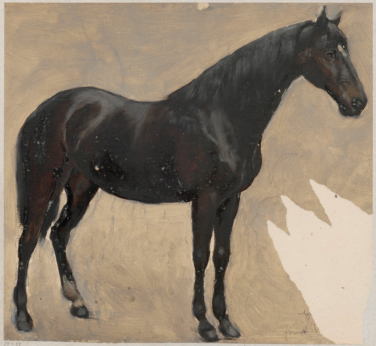 Estudio del caballo de Hans Thoma