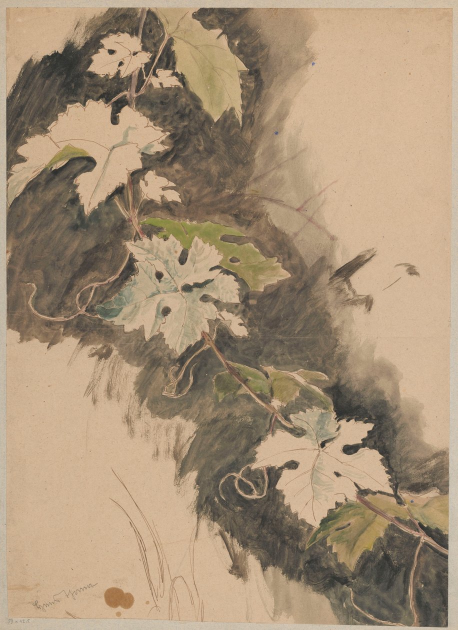 Estudio de la viticultura de Hans Thoma