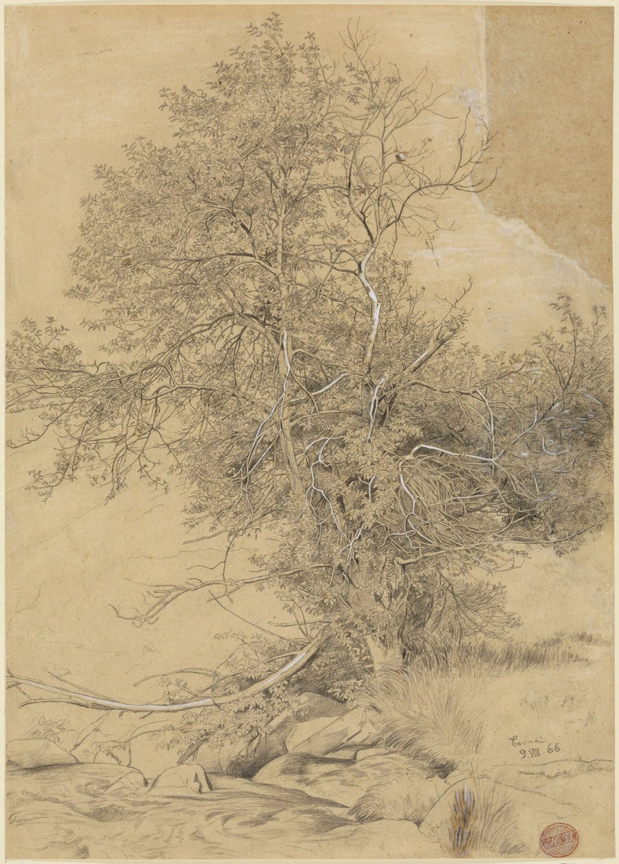 Prado junto al arroyo de Hans Thoma