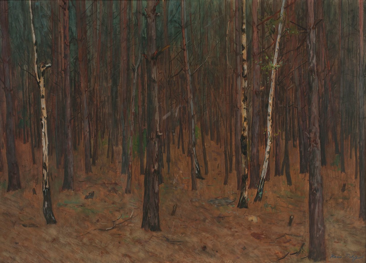 Waldinneres de Hans Tichy