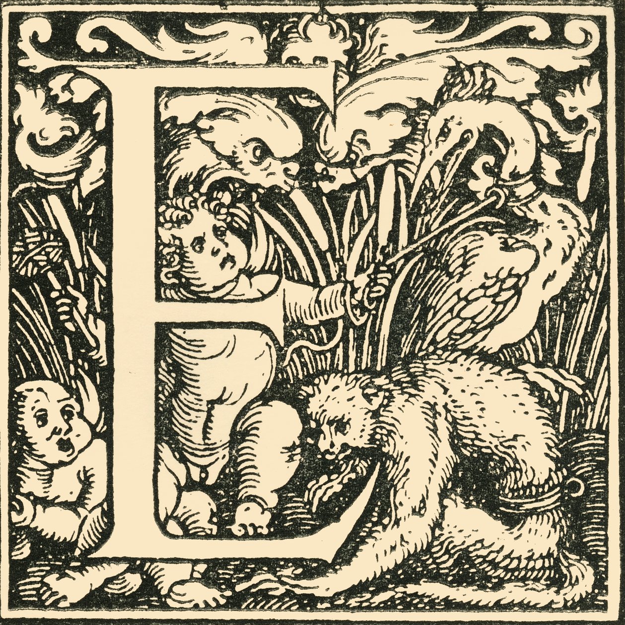 E - Un alfabeto por Hans Weiditz, c1520-1521, 1908 de Hans Weiditz