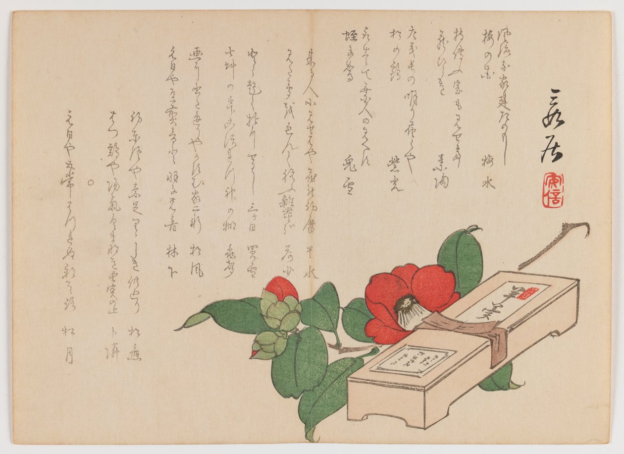 Camelia con caja de dulces (Yokan), c.1860 de Hanzan Matsukawa