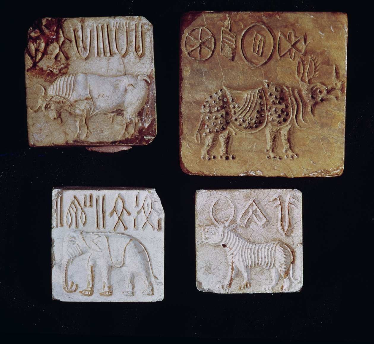Cuatro sellos que representan un toro, un rinoceronte, un elefante y un tigre con símbolos pictográficos, del Valle del Indo, Pakistán, 3000-1500 a.C. de Harappan