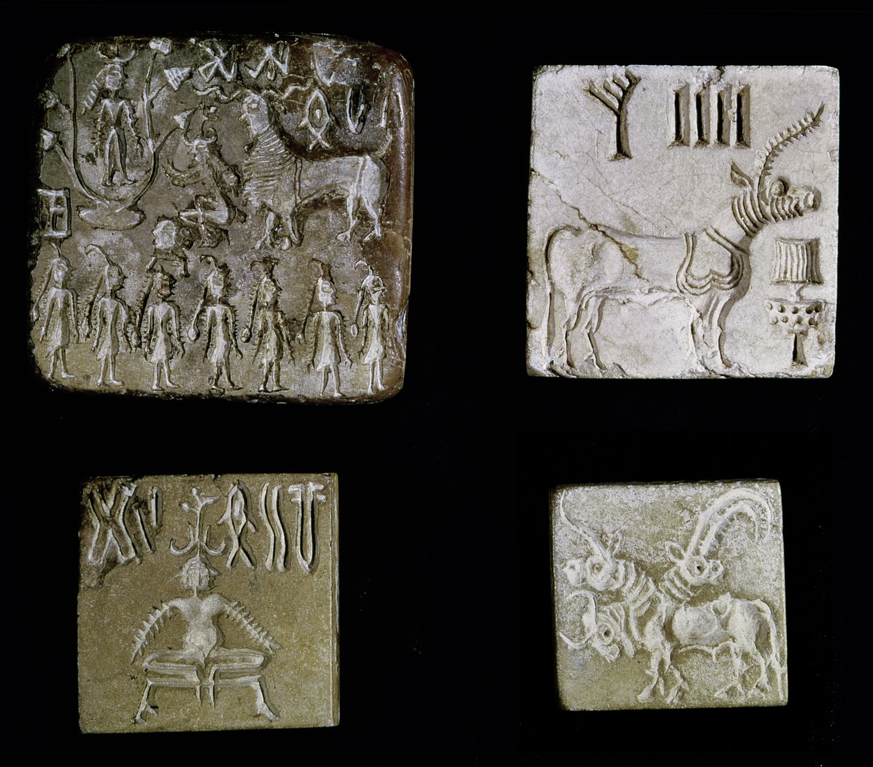 Cuatro sellos que representan animales mitológicos, de Mohenjo-Daro, Valle del Indo, Pakistán, 3000-1500 a.C. de Harappan
