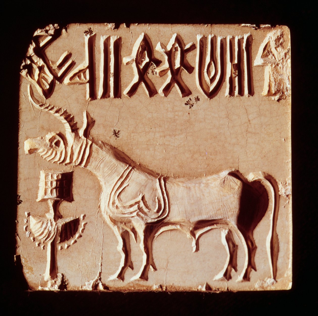 Sello que representa un animal mitológico y símbolos pictográficos, de Mohenjo-Daro, Valle del Indo, Pakistán, 3000-1500 a.C. de Harappan