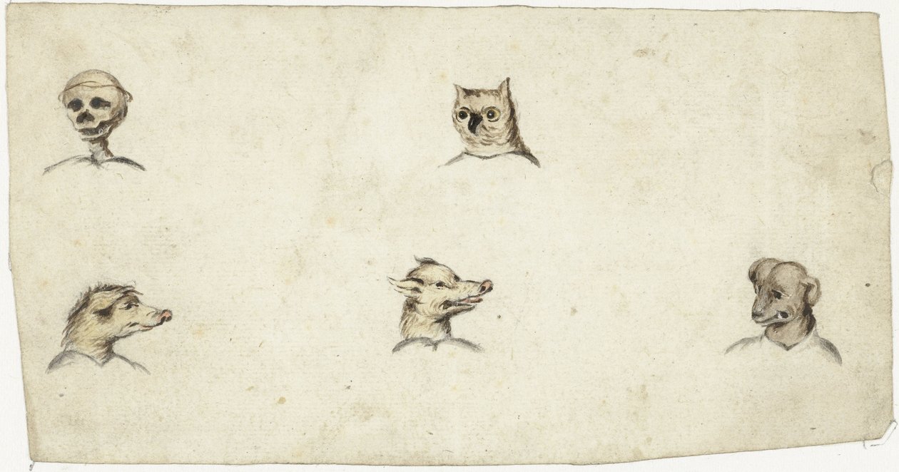 Cabezas de cuatro animales y un esqueleto de Harmen ter Borch
