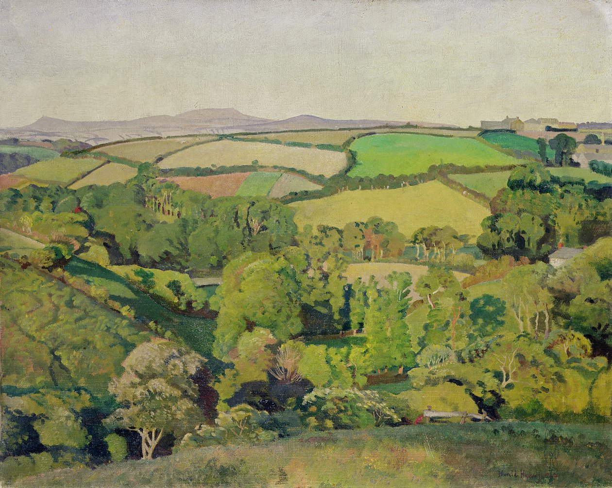Drift Valley (óleo sobre lienzo) de Harold Harvey