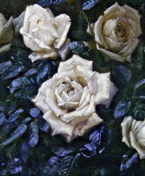 Rosas blancas de Harold Oakley