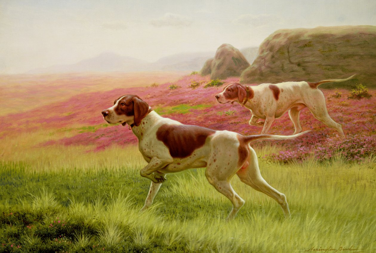 Perros de muestra en un paisaje de Harrington Bird