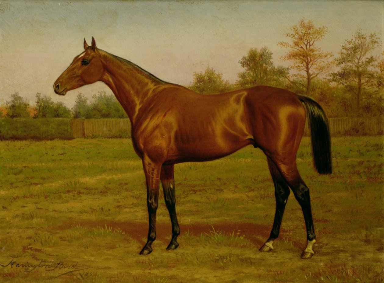 Isinglass, Triple Corona, 1893 de Harrington Bird