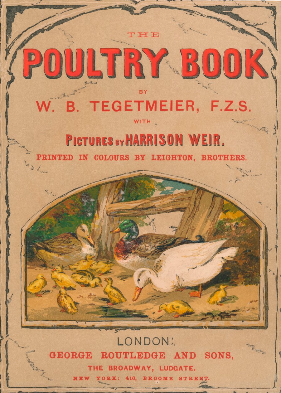 El libro de las aves de corral, 1867 de Harrison Weir