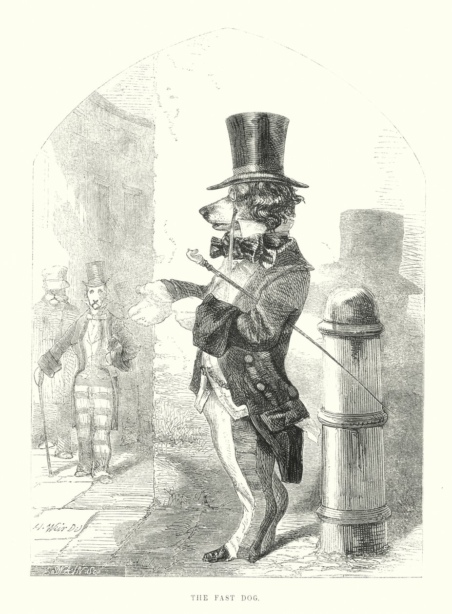 Perros graciosos: El perro rápido (grabado) de Harrison William Weir