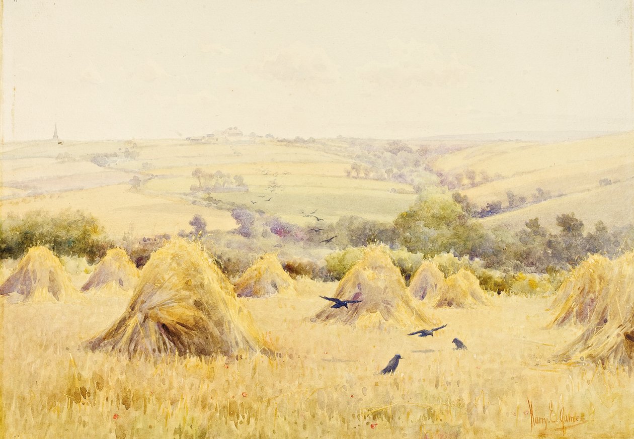 Vista de un campo de maíz con grajos de Harry E. James