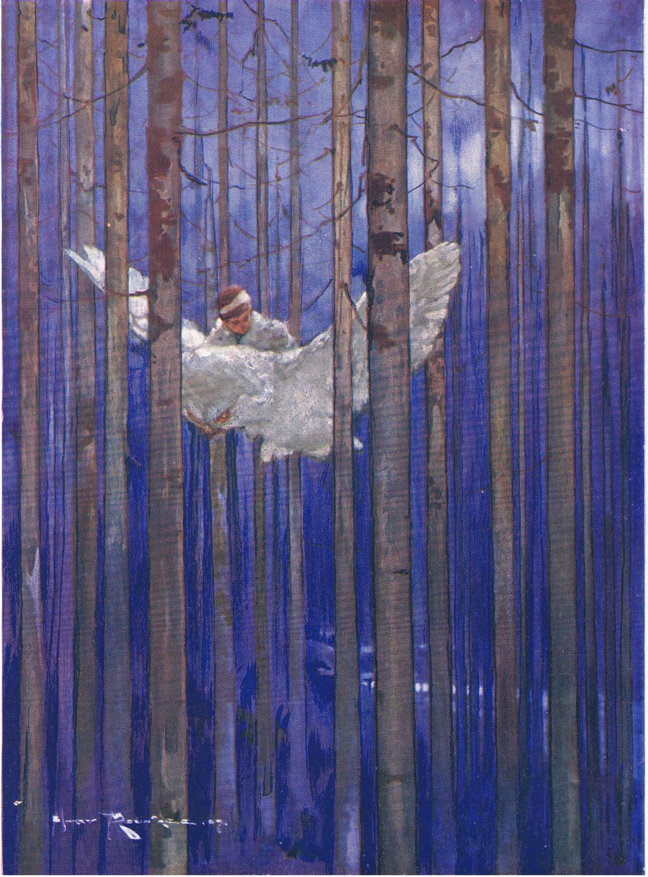 El búho y Gilbert dieron espléndidos paseos a la luz de la luna (de The Forest Foundling) (litografía en color) de Harry Rountree