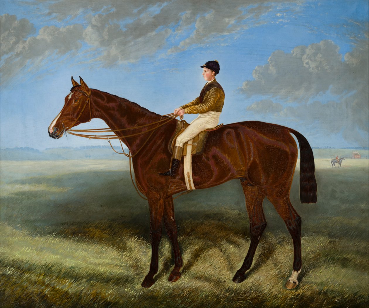 Salpinctes-un caballo de carreras, c.1814-82 (óleo sobre lienzo) de Harry (after) Hall