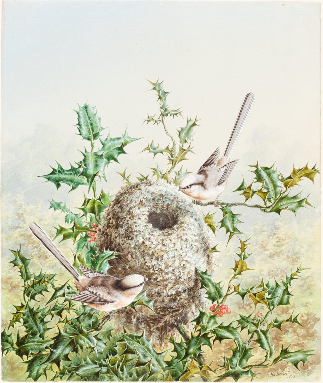Pájaros Coral y su Nido en un Acebo de Harry Bright
