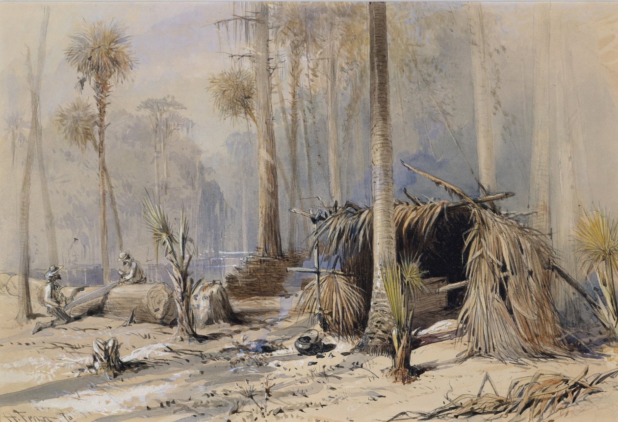 El Patio de Ciprés y Tejas, Río Ocklawaha, Florida, 1870 de Harry Fenn