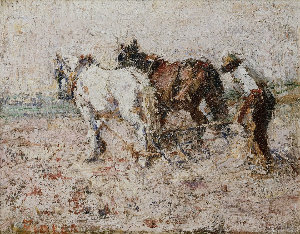 Arado de Harry Fidler