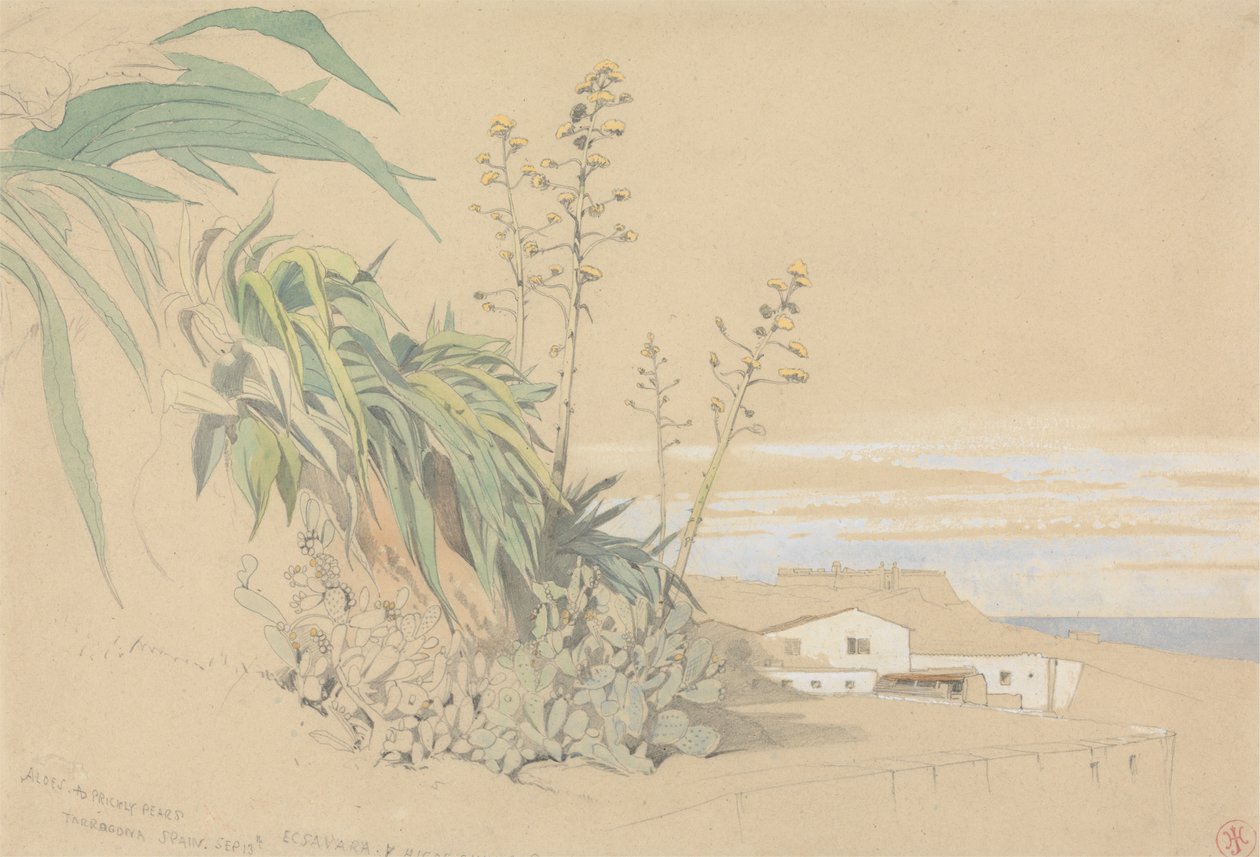 Aloes y chumberas, Tarragona, España de Harry John Johnson