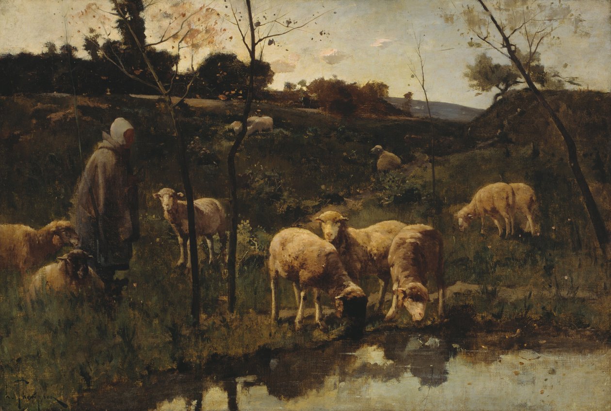 Paisaje con ovejas, Picardía de Harry Thompson