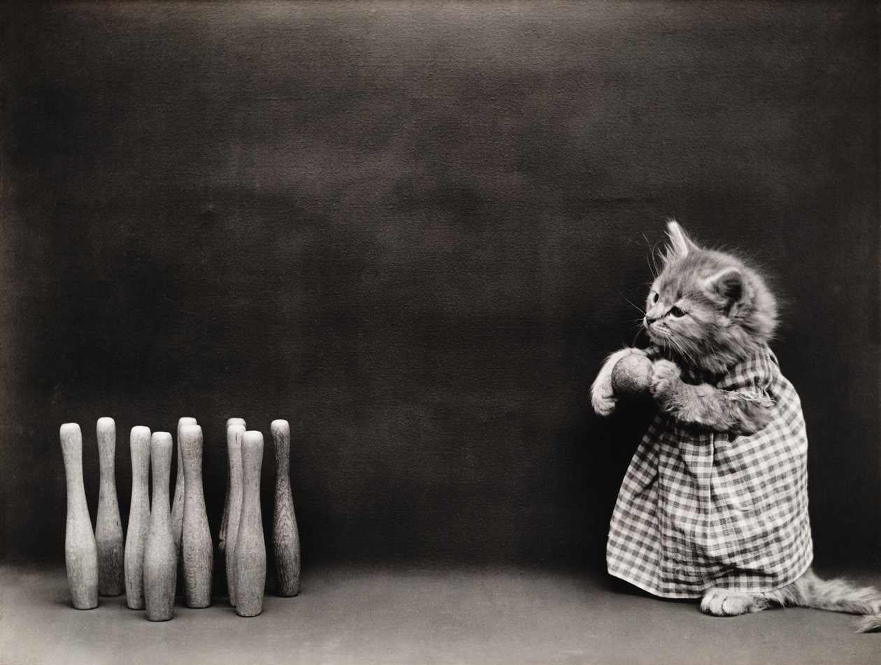 Serie Gatitos: Bolos, c.1914 (grabado en plata) de Harry Whittier Frees