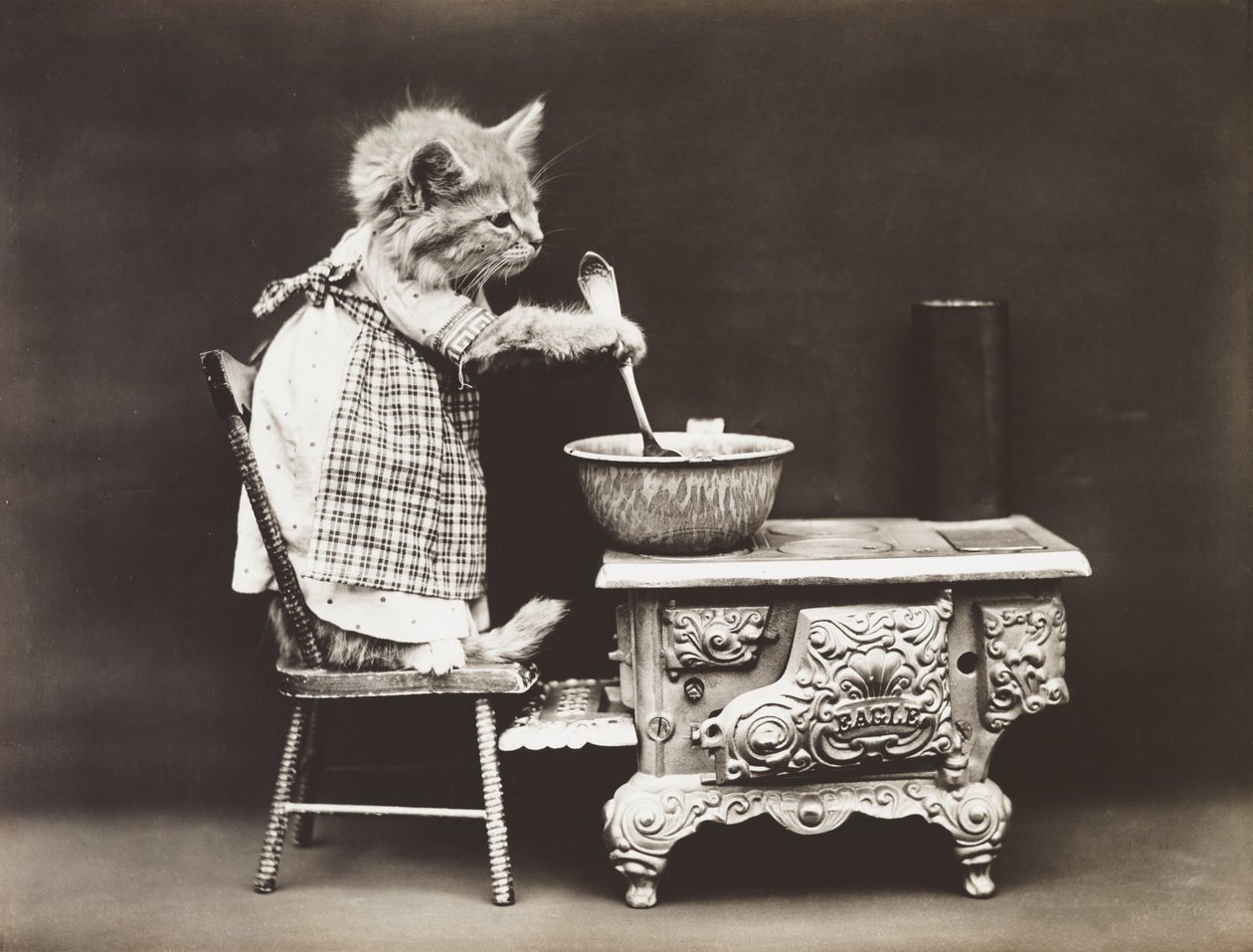 Serie Gatitos: Cook at the Stove, c.1914 (grabado en plata) de Harry Whittier Frees