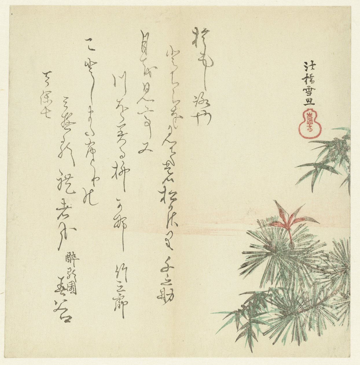 Pinos de Hasegawa Settan