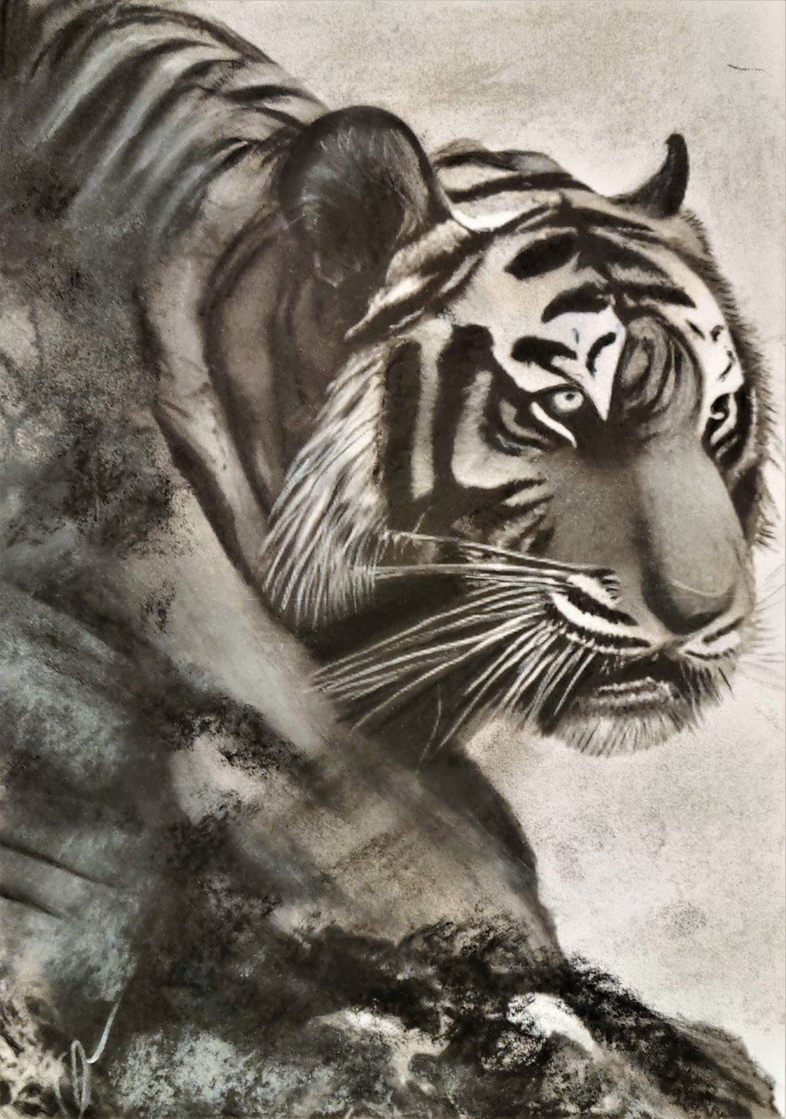 Tigres al acecho de HaskellArt