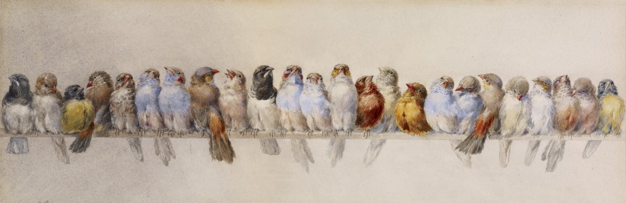 Un percha de pájaros, c.1880 de Hector Giacomelli