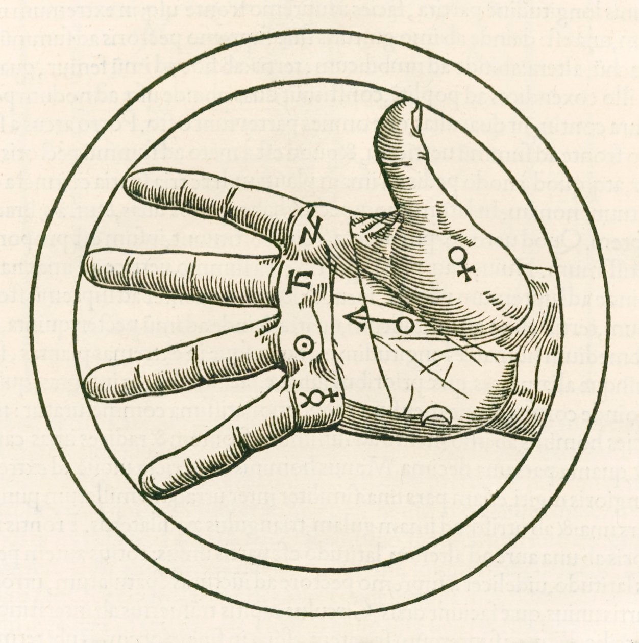 La mano de la quiromancia grabado de Heinrich Cornelius Agrippa von Nettesheim (1486-1535) De occulta philosophia libri tres publicado en 1533 de Heinrich Cornelius Agrippa von Nettesheim