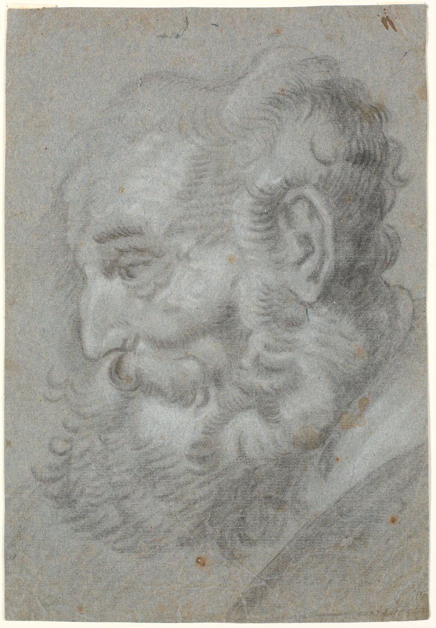 Cabeza de anciano, perfil hacia la izquierda de Heinrich Dittmers