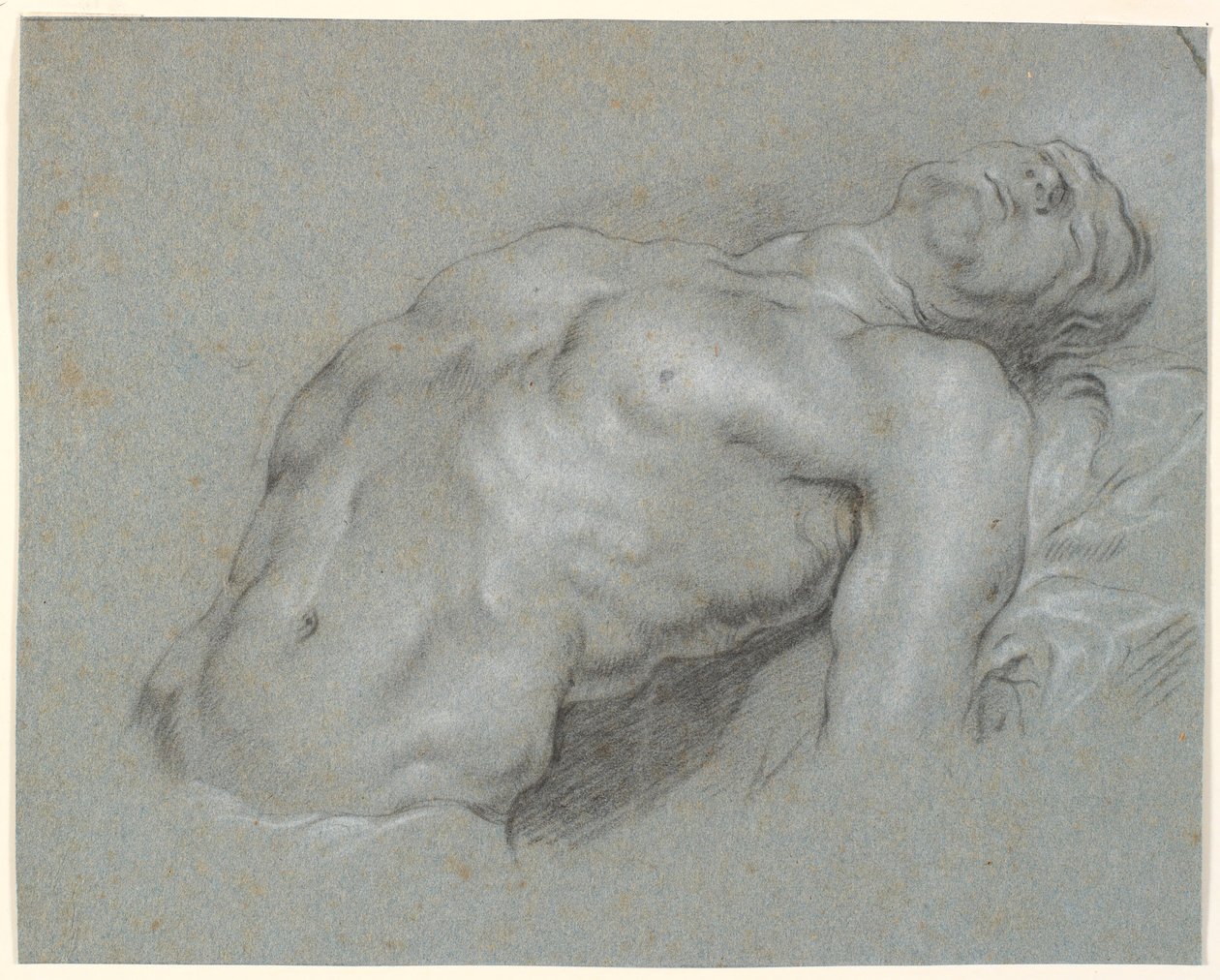 Torso de un modelo masculino fuertemente reclinado de Heinrich Dittmers