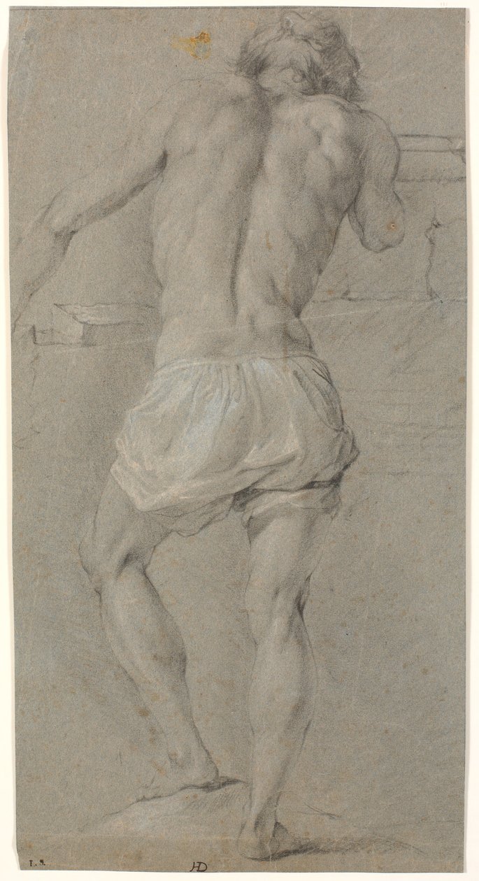 Modelo masculino de pie, visto desde atrás de Heinrich Dittmers