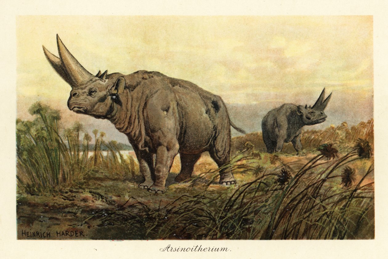 Arsinotherium, género extinto de mamífero paenungulado.,1908 (Imprimir) de Heinrich Harder