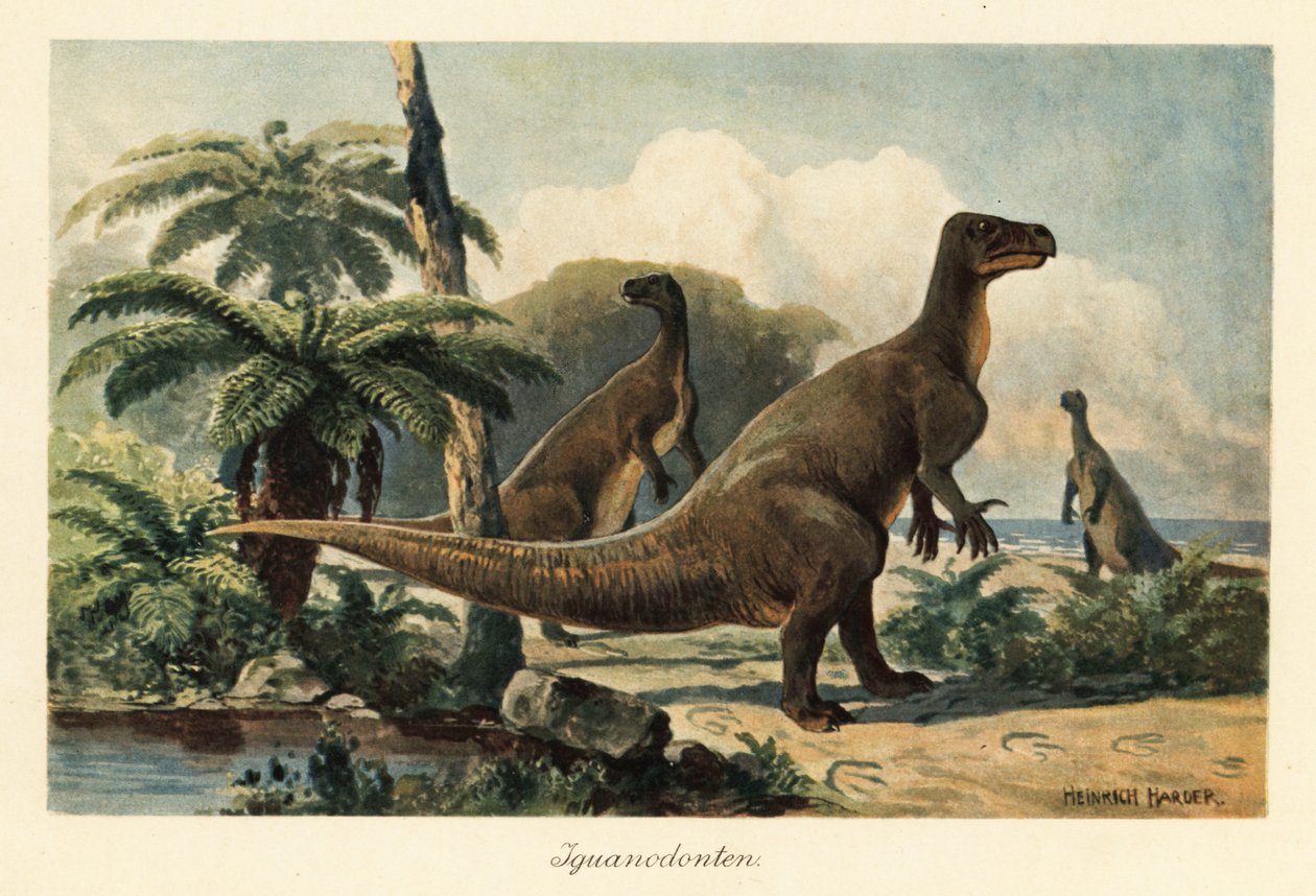 Iguanodon bernissartensis en un bosque de helechos prehistórico. de Heinrich Harder