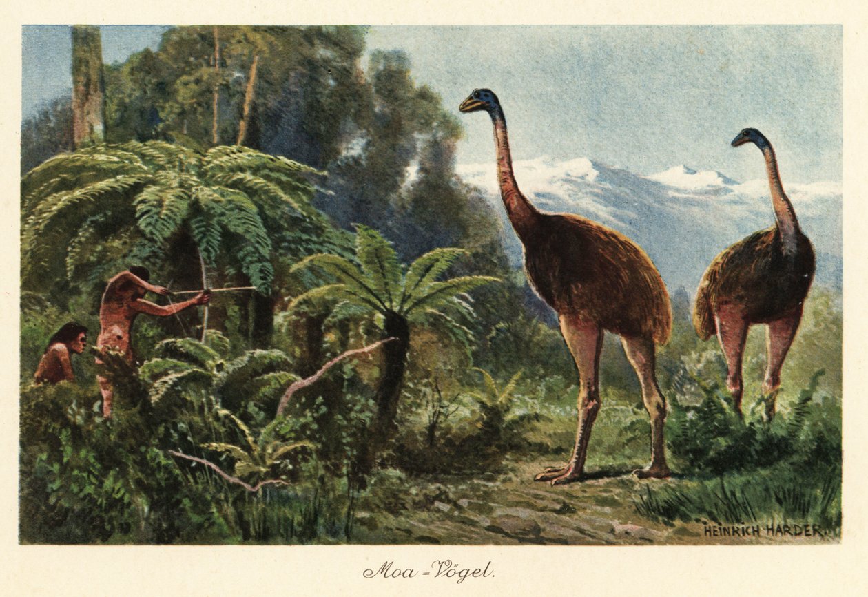 Pájaros moa cazados por hombres con arcos y flechas. de Heinrich Harder