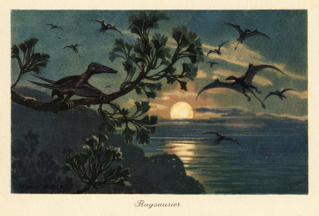 Pterosaurios Rhamphorhynchus volando a la luz de la luna. de Heinrich Harder
