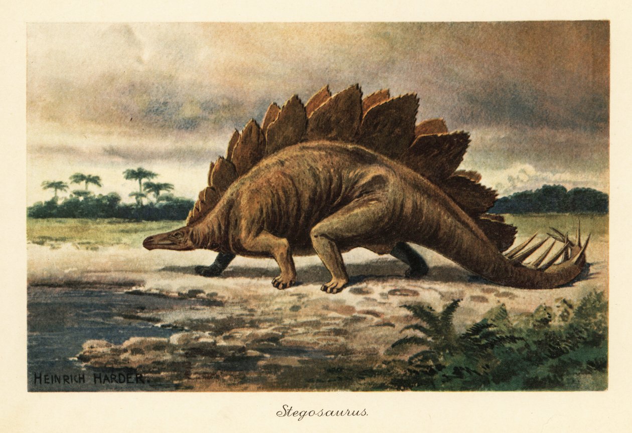 Stegosaurus armatus del Jurásico Tardío. de Heinrich Harder