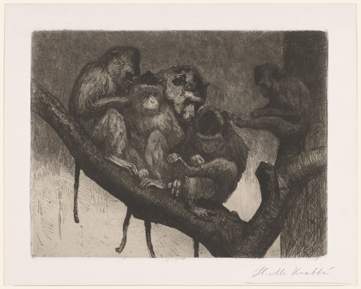 Cinco monos en un árbol de Heinrich M. Krabbé (signed by artist)