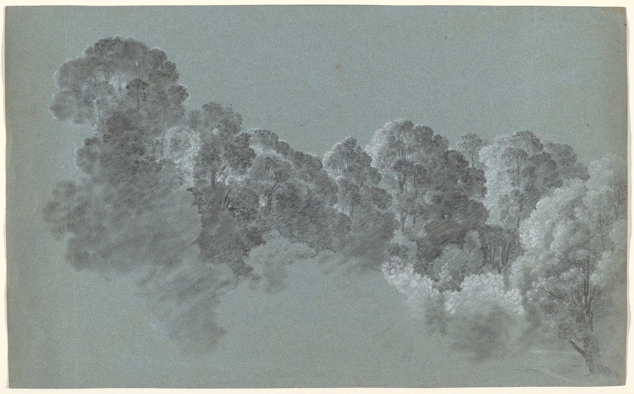 Copas de Árboles del Bosque Iluminadas de Heinrich Rieter